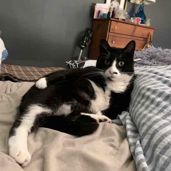 😃Hello there & Welcome...... - Picture 10 of 15